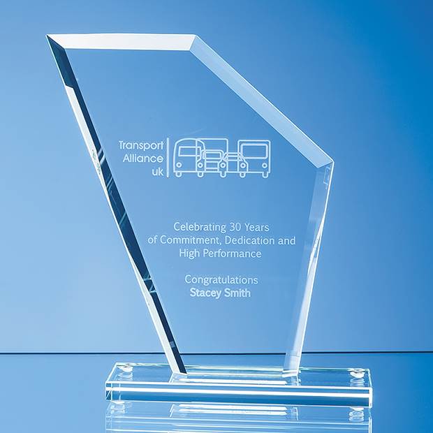 17.5cm x 15.5cm x 1cm Jade Glass Bevelled Edge Wing Award